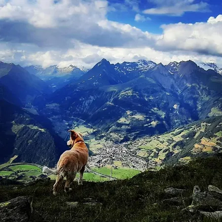 Haus Wibmer Rum i privatbostad Matrei in Osttirol