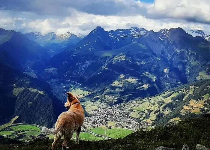 Haus Wibmer ホームステイ マトライ・イン・オストティロル