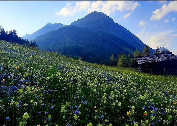 Haus Wibmer Matrei in Osttirol