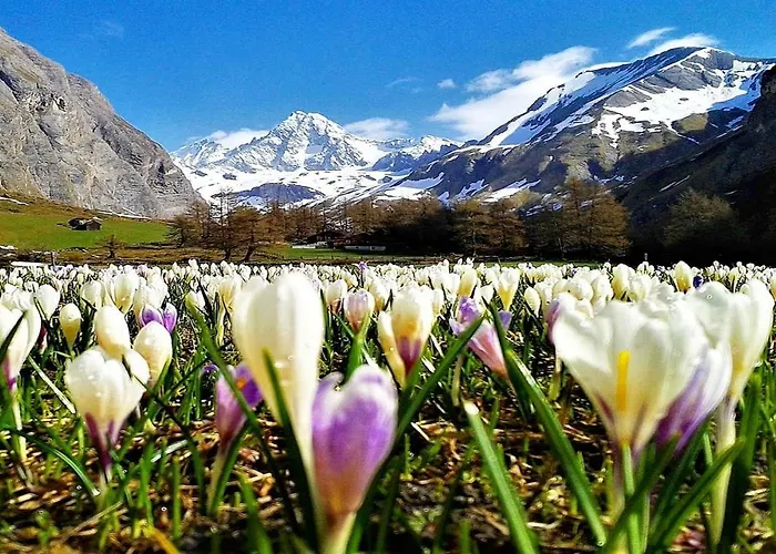Habitación en casa particular Haus Wibmer *
