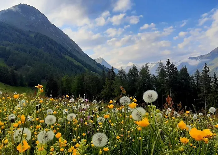 ホームステイ Haus Wibmer