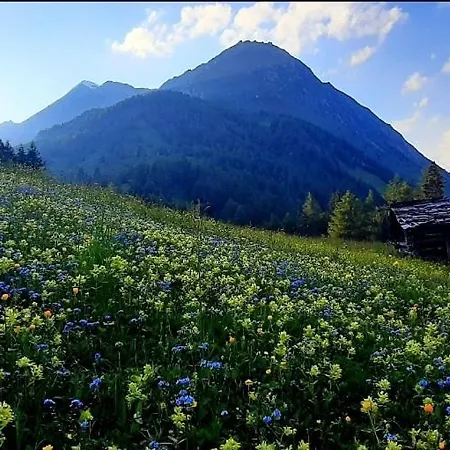 Haus Wibmer Matrei in Osttirol