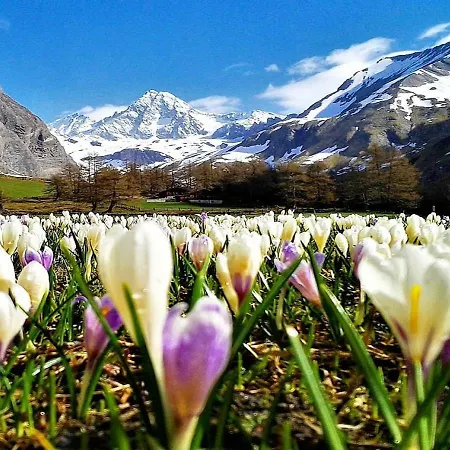 Homestay Haus Wibmer *