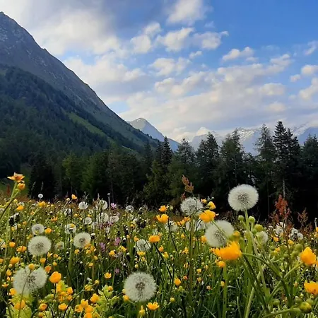 Homestay Haus Wibmer