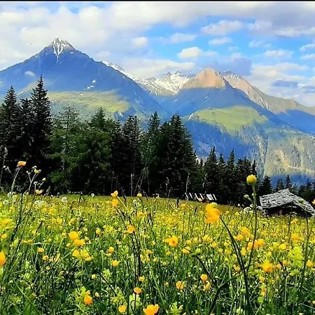 Haus Wibmer Homestay